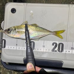 フロートアジング