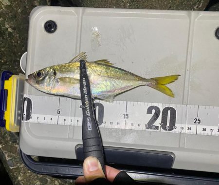 フロートアジング