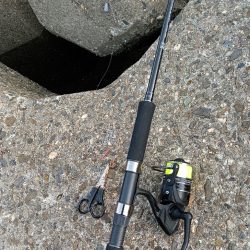 高砂港、弾丸キス釣行その2