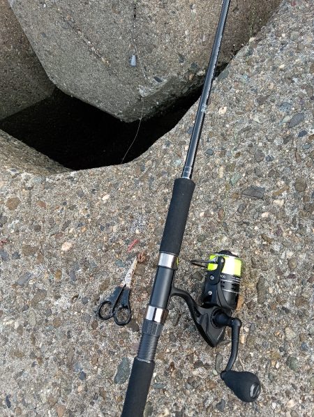 高砂港、弾丸キス釣行その2