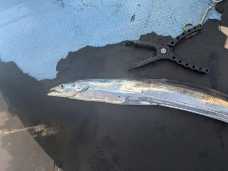 暑い夏の友が島廻り