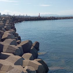 今日も高砂港へ