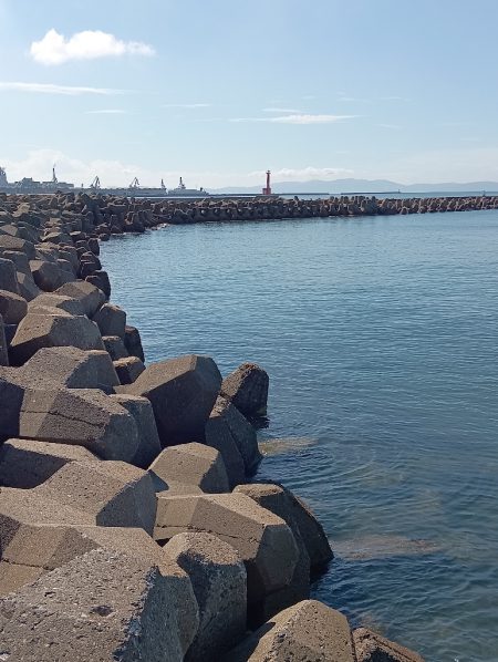 今日も高砂港へ