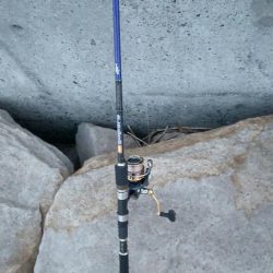 久々のジグサビキ