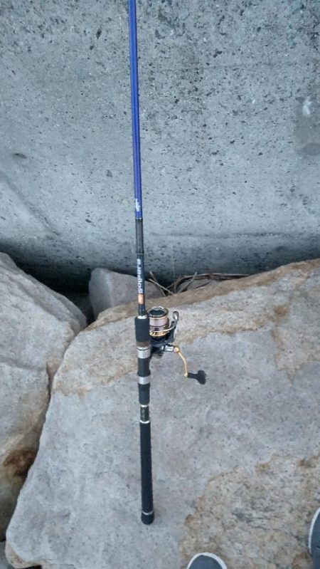 久々のジグサビキ