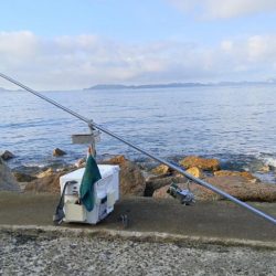 苅屋海岸のキス釣り