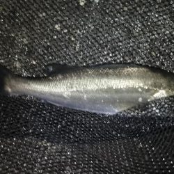 雨が止む間に…