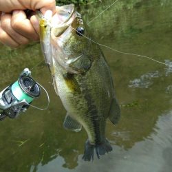 放流バスに遊んでもらいました