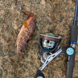 ハタゲーム&エギング