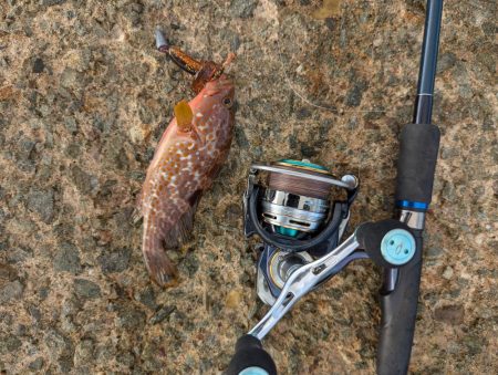 ハタゲーム&エギング