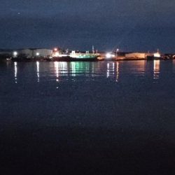 アジ調査@貝塚周辺