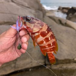 陸っぱり釣行記