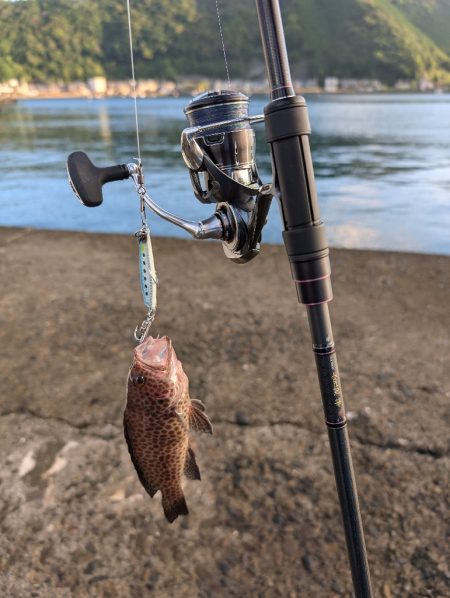 陸っぱり釣行記