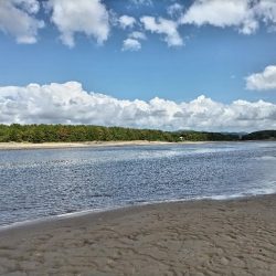 チヌとセイゴ釣れました。