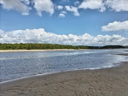 チヌとセイゴ釣れました。
