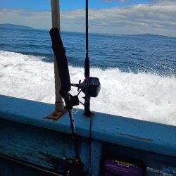 ’24初の船太刀魚