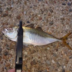 時間のかかる入れ食い