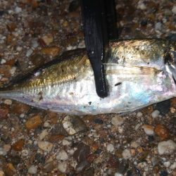 そんな甘くはないよね！