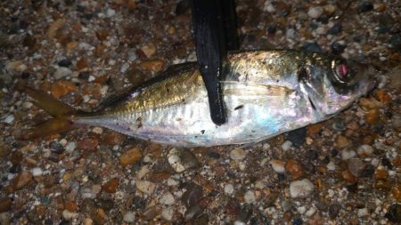 そんな甘くはないよね！