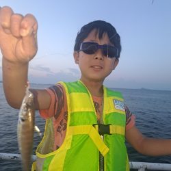 家族でサビキ釣り