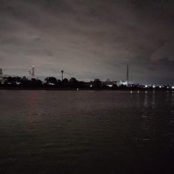 初投稿だけど病気？のキビレ