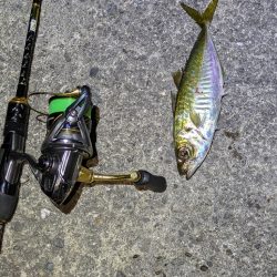 地合い短かっ！