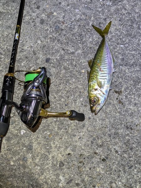 地合い短かっ！