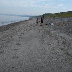 帰省でキス釣り
