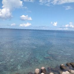 沖縄でエギング