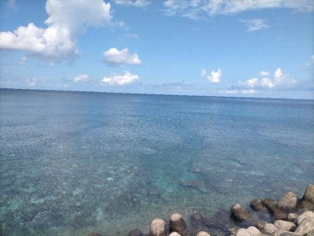 沖縄でエギング