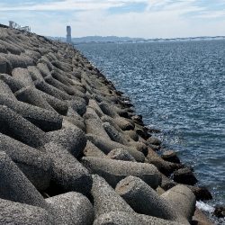 ベイトだらけの人工島