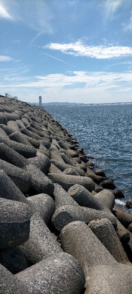 ベイトだらけの人工島
