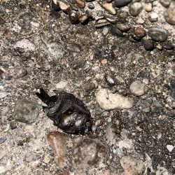 友達と釣りに🎣