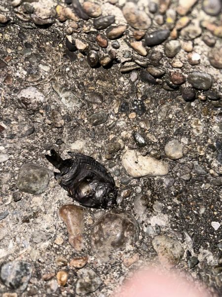 友達と釣りに🎣