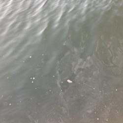 ⭐︎サイズは良き