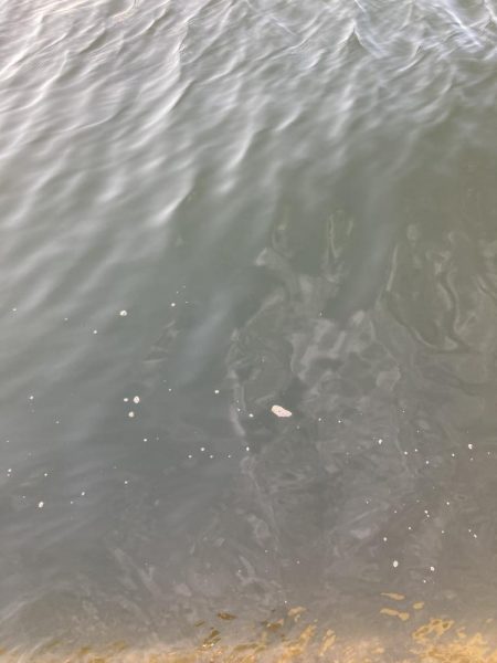 ⭐︎サイズは良き