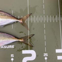 ⭐︎まだまだイケそう