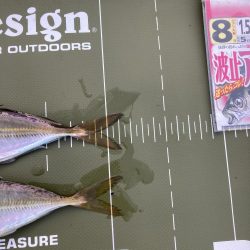 ⭐︎1センチの壁