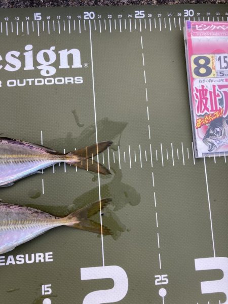 ⭐︎1センチの壁