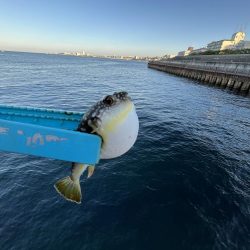 渋い人マシマシ!