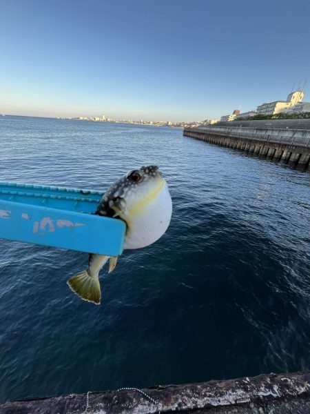 渋い人マシマシ!