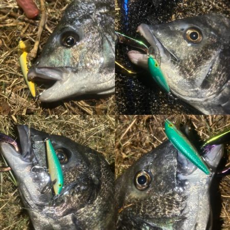 雨パワー!ᕙ( ‘ω’)ᕗ