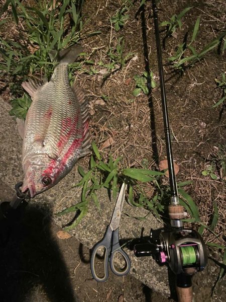 アーバンチニング④