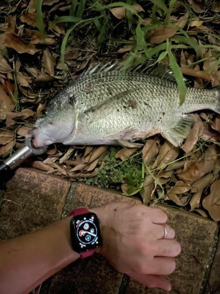 アーバンチニング⑤