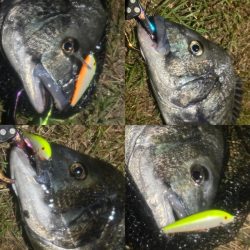 月を見ながらお散歩チニング