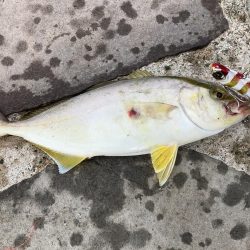 ライトショアジギング