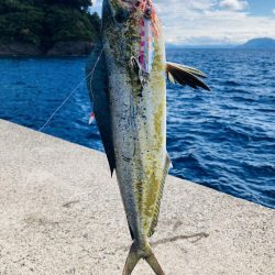 釣れてる人に倣え