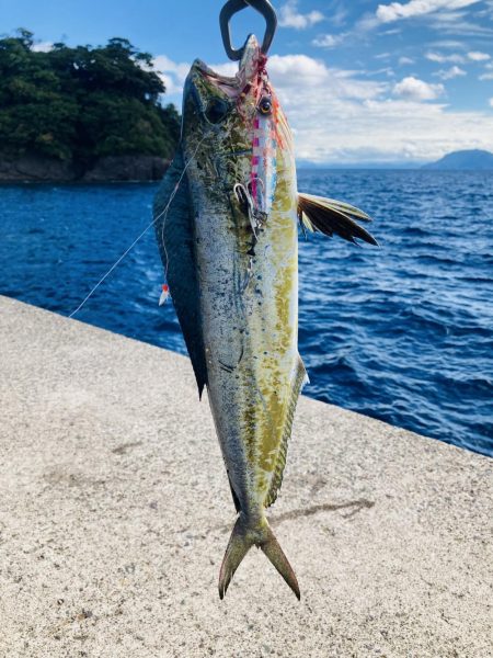 釣れてる人に倣え