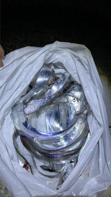 銀色のアイツら