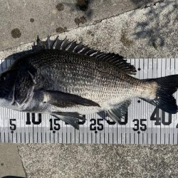 イチノ兄弟、釣果!